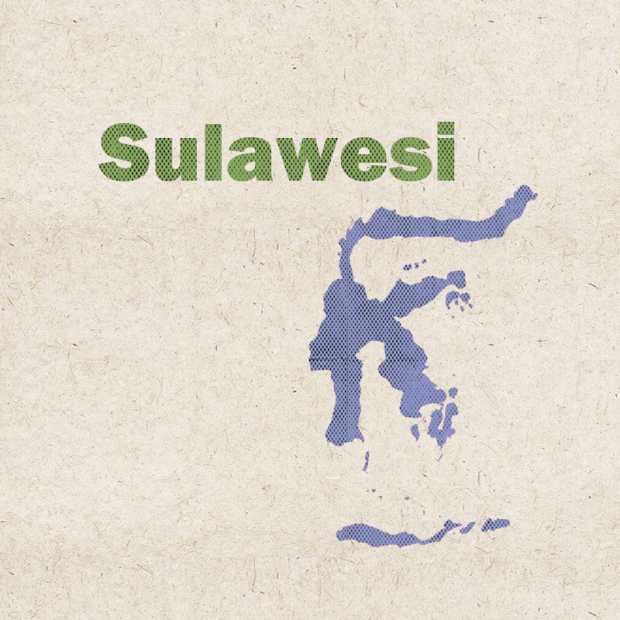 蘇拉威西-冠軍豆.png