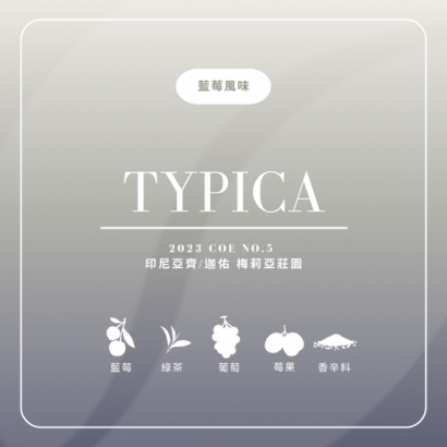 大象漫步-藍莓.png
